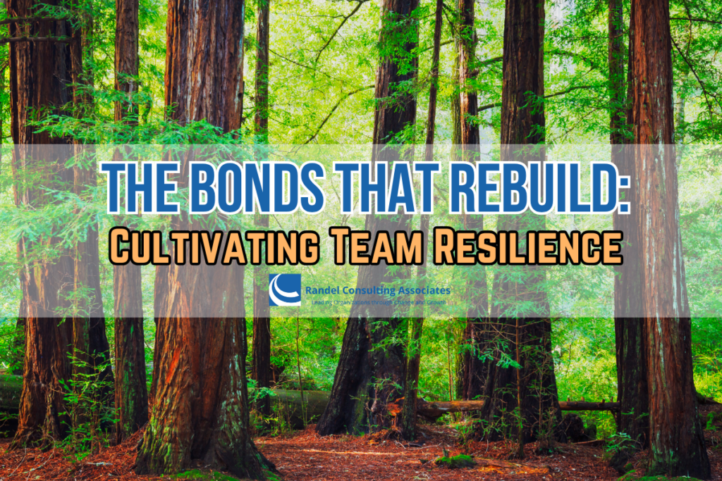 The Bonds That Rebuild: Cultivating Team Resilience