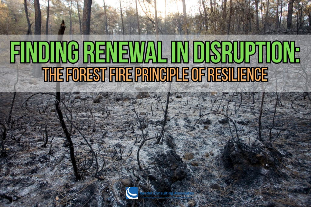 Finding Renewal in Disruption